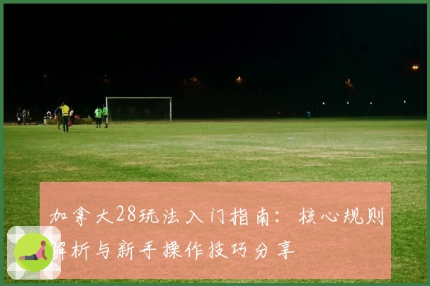 加拿大28玩法入门指南：核心规则解析与新手操作技巧分享