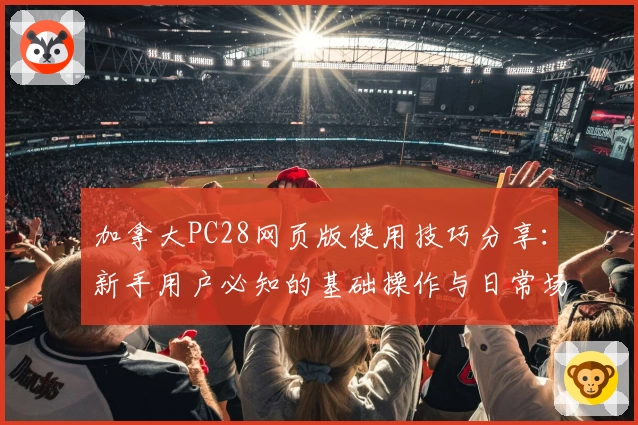 加拿大PC28网页版使用技巧分享：新手用户必知的基础操作与日常场景解析
