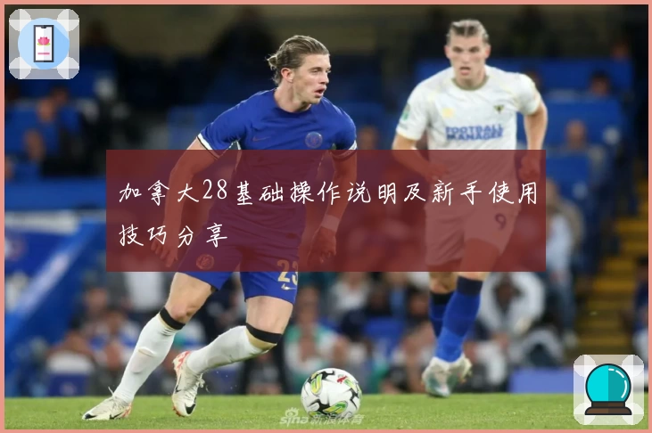 加拿大28基础操作说明及新手使用技巧分享