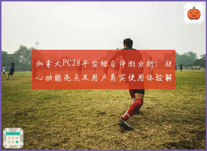加拿大PC28平台综合评测分析:核心功能亮点及用户真实使用体验解析