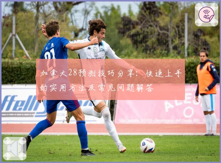 加拿大28预测技巧分享：快速上手的实用方法及常见问题解答