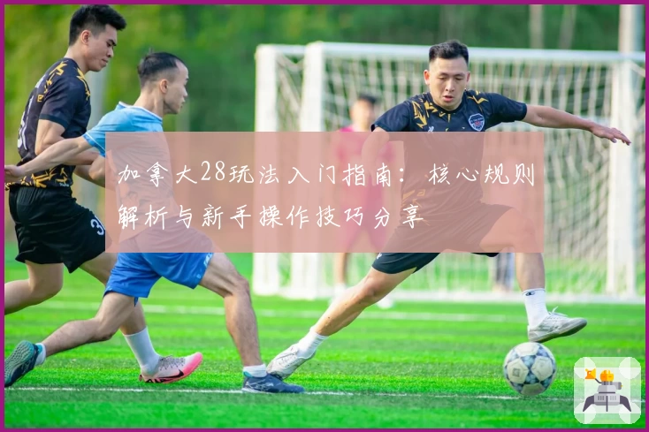 加拿大28玩法入门指南：核心规则解析与新手操作技巧分享