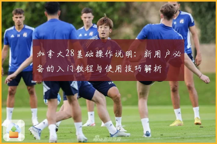 加拿大28基础操作说明：新用户必备的入门教程与使用技巧解析