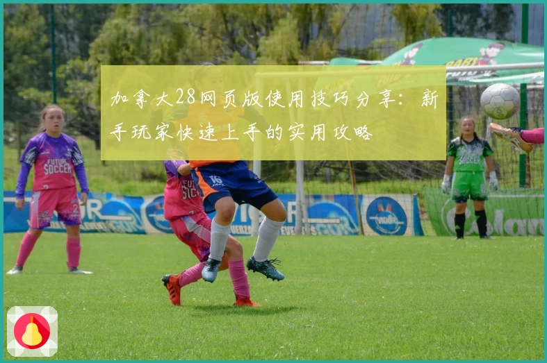 加拿大28网页版使用技巧分享：新手玩家快速上手的实用攻略