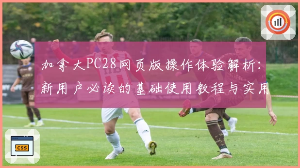 加拿大PC28网页版操作体验解析:新用户必读的基础使用教程与实用技巧分享