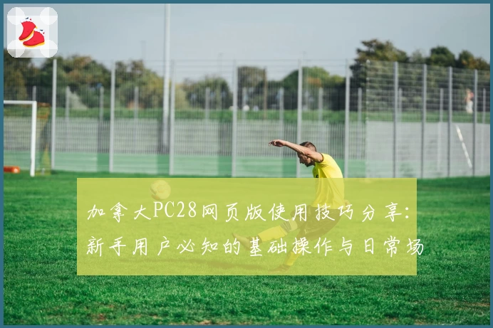 加拿大PC28网页版使用技巧分享：新手用户必知的基础操作与日常场景解析