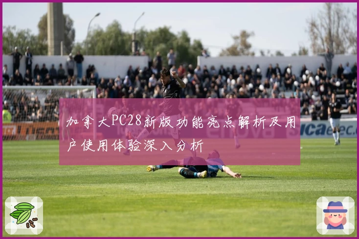 加拿大PC28新版功能亮点解析及用户使用体验深入分析
