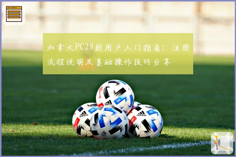 加拿大PC28新用户入门指南：注册流程说明及基础操作技巧分享
